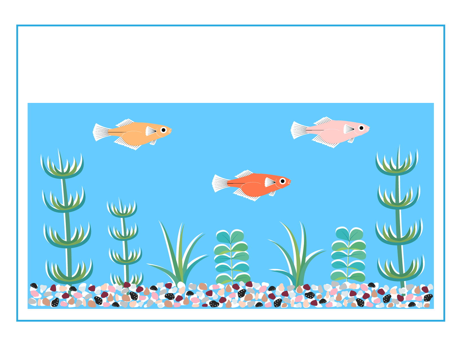 でんきのコバデン アクアリウム メダカ